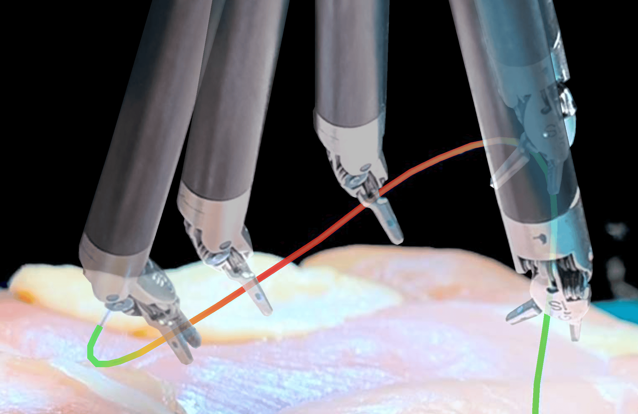 Autonomous Image-to-Grasp