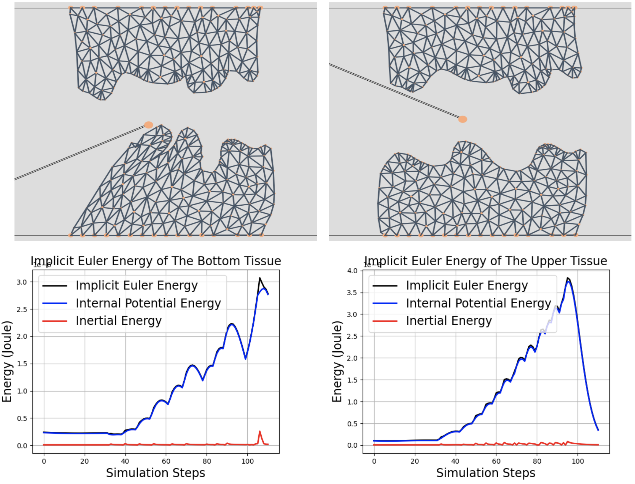2D Surgical Simulation