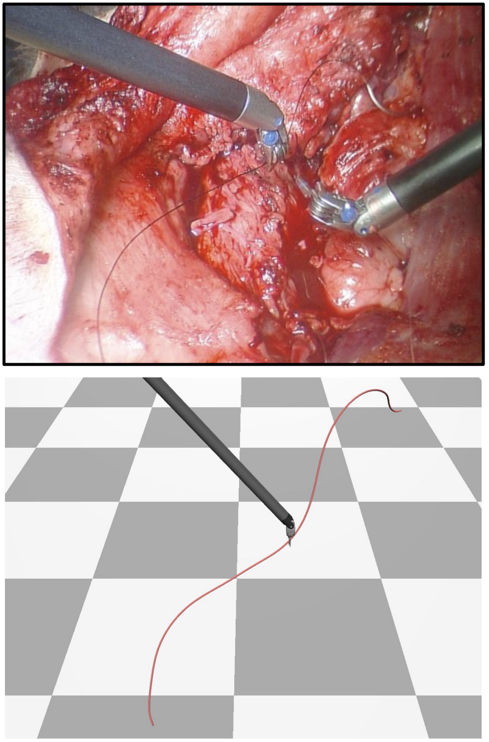 Suture Thread Spline Reconstruction